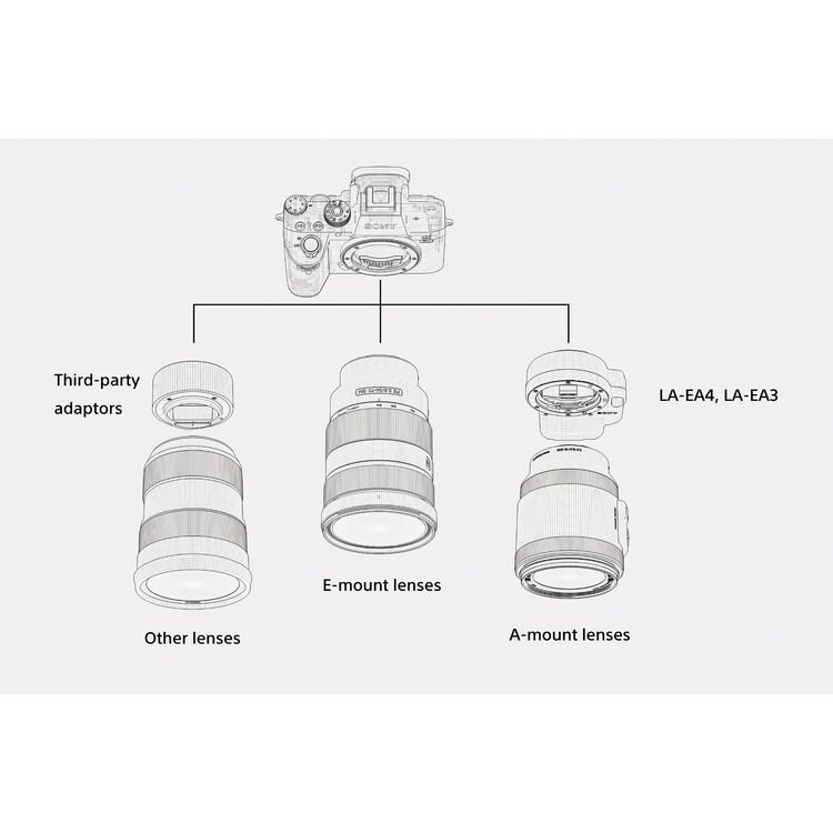 Camara Sony a7R IVA (Solo cuerpo) 10 Sony a7R IVA