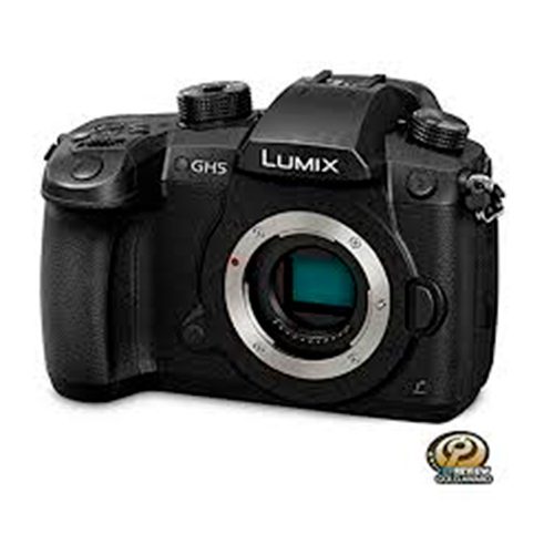 Cámara Digital Lumix Gh5 Panasonic