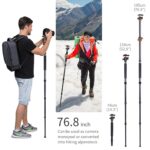 Monopie tripode K&F SA254T2 - Imagen 4
