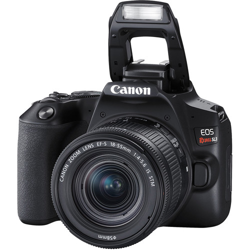 Canon 250D: ¿Vale realmente la pena la cámara? - SKYES Media