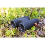 PROSTAFF P3 10x42