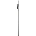 Deluxe Autopole 2