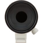 Sony FE 70-200mm f4 Macro G OSS II - Imagen 10