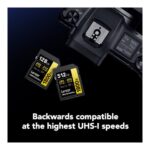 Lexar GOLD UHS-II SDXC 128GB