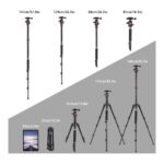 Trípode monopié para cámara ZOMEI M5 - Imagen 6