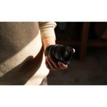 Sony FE 24-50mm f/2.8 G - Imagen 14