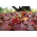 Sony FE 16-25mm f/2.8 G - Imagen 17