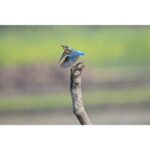 Nikon Z6 III 24-70mm f/4 S - Irresistible - Imagen 18