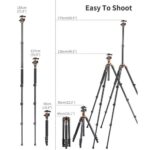 Tripode Cenital con Monopod K&F Concept SA254M2 KF09.089 - Imagen 5