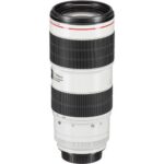 Canon EF 70-200mm f/2.8L IS III USM - Imagen 5