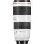 Canon EF 70-200mm f/2.8L IS III USM - Imagen 9