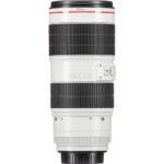 Canon EF 70-200mm f/2.8L IS III USM - Imagen 10