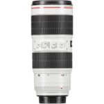 Canon EF 70-200mm f/2.8L IS III USM - Imagen 11
