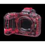 Canon EOS R5 Mark II 24-105mm f4 - Imagen 11