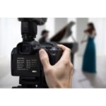 Canon EOS R5 Mark II 24-105mm f4 - Imagen 13
