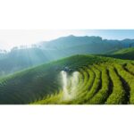 DJI Mavic 3 Multispectral - Imagen 17
