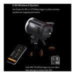 Godox MS300-V