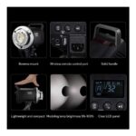 Godox MS300-V