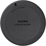 Sigma 10-18mm