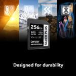 Memoria Lexar SDXC Silver Plus UHS-I V30 256Gb / 205Mbps - Imagen 8