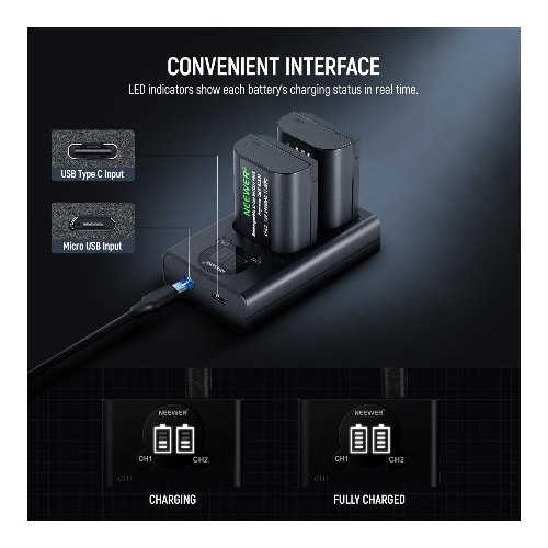 Kit de 2 baterías DMW-BLK22 con cargador doble – Neewer 4 baterías DMW-BLK22