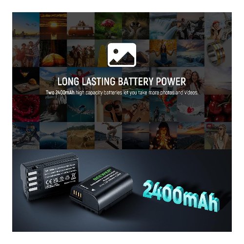 Kit de 2 baterías DMW-BLK22 con cargador doble – Neewer 6 baterías DMW-BLK22