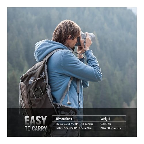 Kit de 2 baterías DMW-BLK22 con cargador doble – Neewer 8 baterías DMW-BLK22