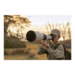 Sony a7R VI - Imagen 15