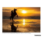Tamron 35-150mm