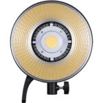 2 luces Godox SL60IIBI