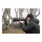 Nikon Z 180-600mm